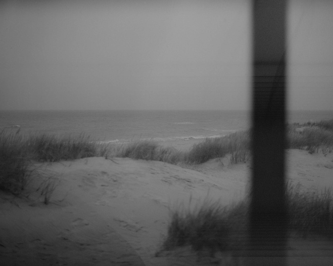 Grayscale Photo of Grass Near the Ocean 